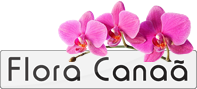 Logo Flora Canaã